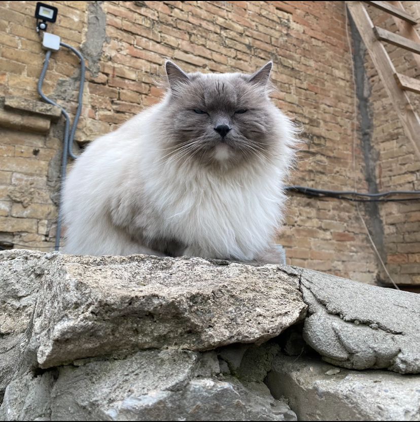 Как бороться с запором